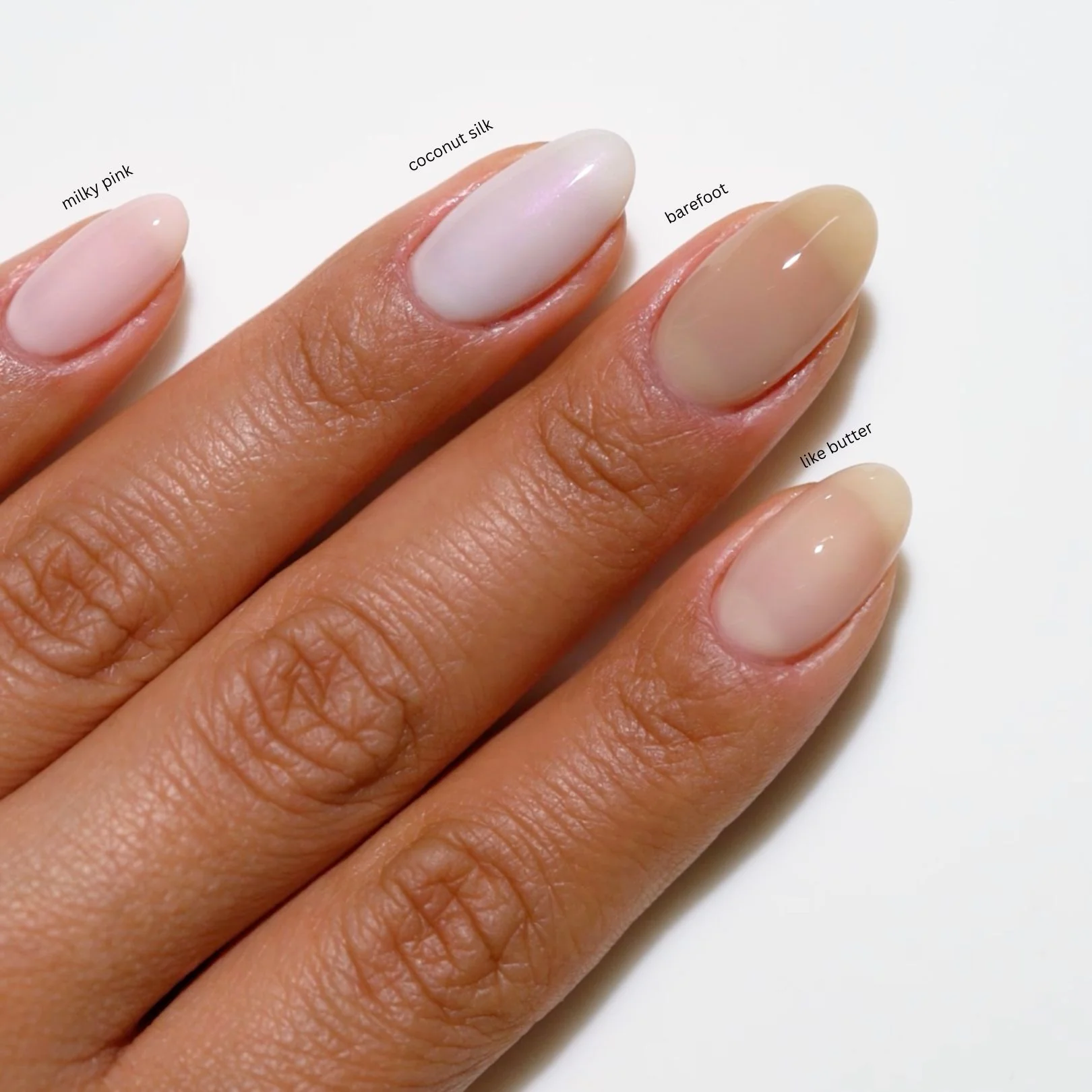 DC Sheer Collection Swatch — Single — 13 - Image 5