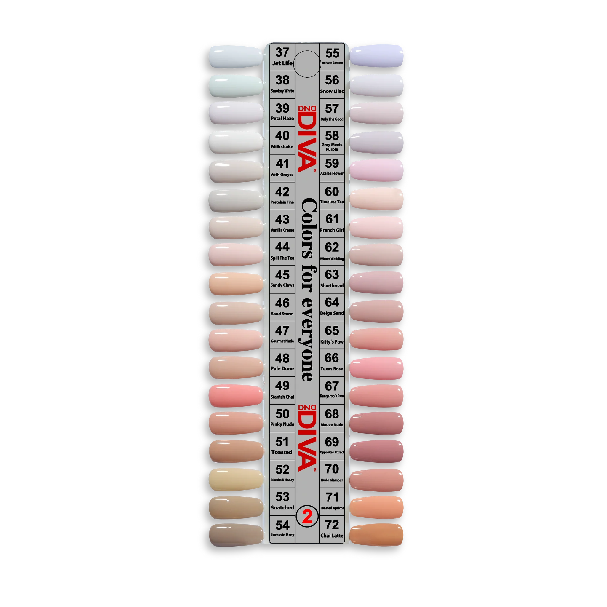 DIVA Frosted Chai Collection - 36 Set - Image 6