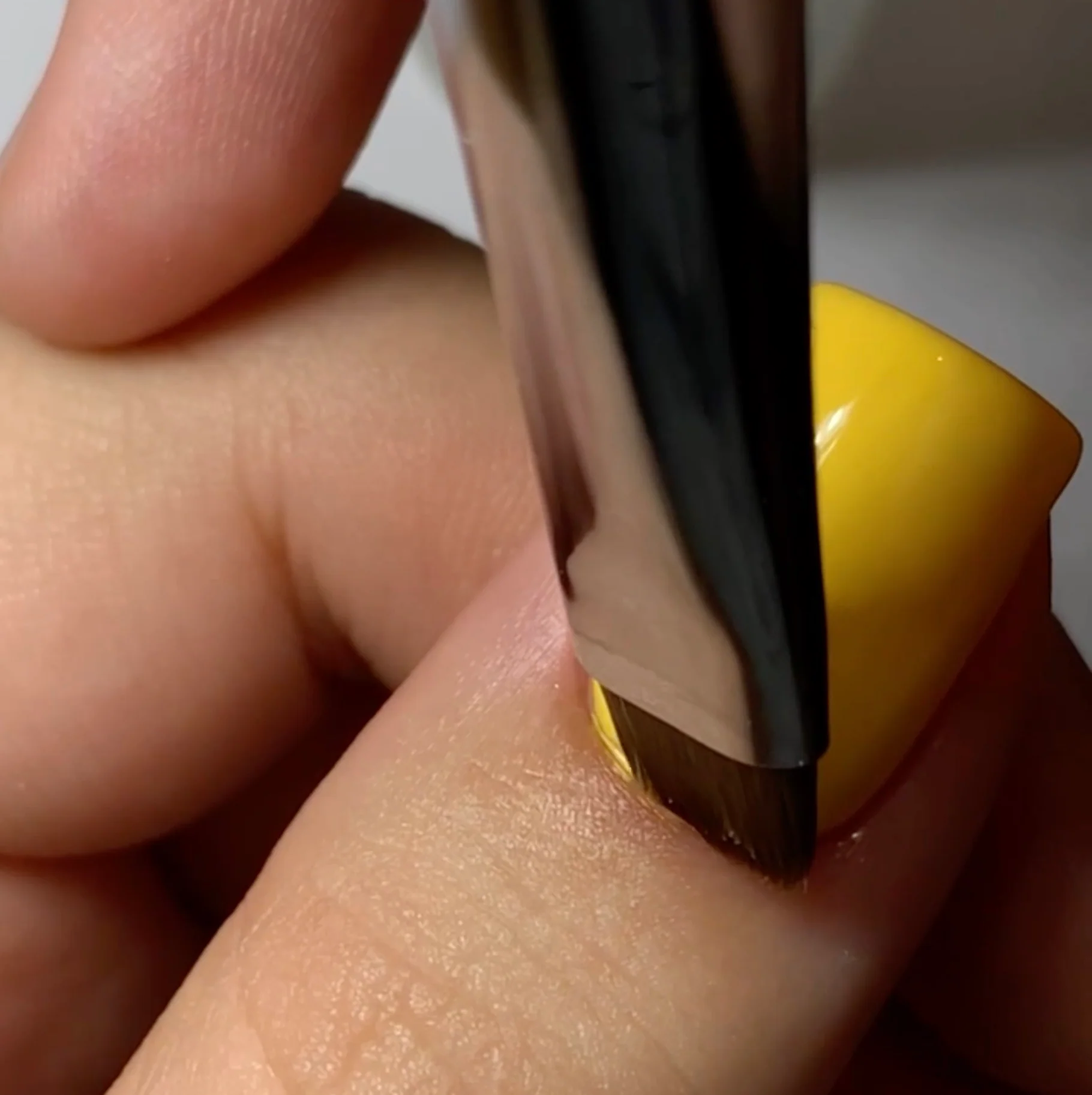 French Brush #10 - Image 4